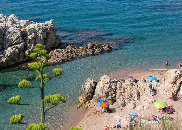 Htop Olympic #htopenjoy (adults Only)