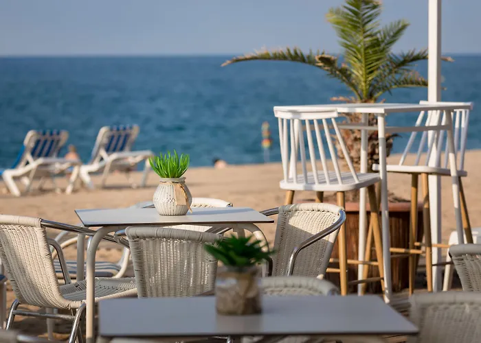 Htop Olympic #htopenjoy (adults Only)