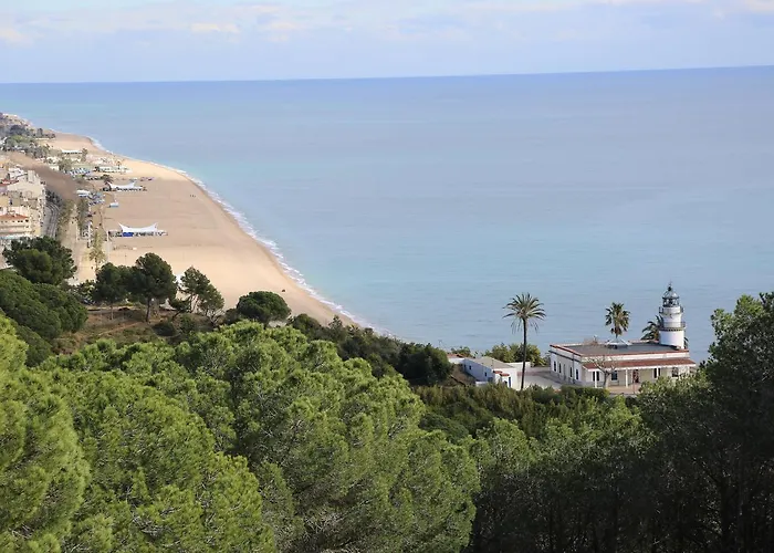 Htop Olympic #htopenjoy (adults Only) Calella