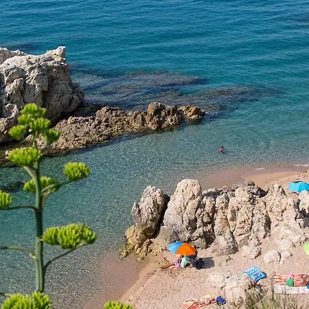 Htop Olympic #htopenjoy (adults Only)